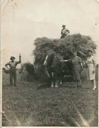 opa v Veldhuisen 1941 met laatste paard